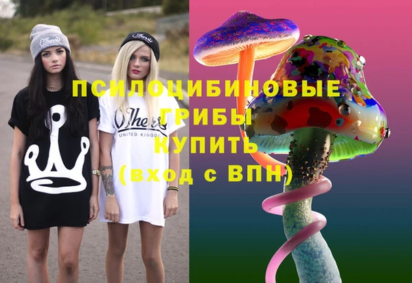 твердый Вязники